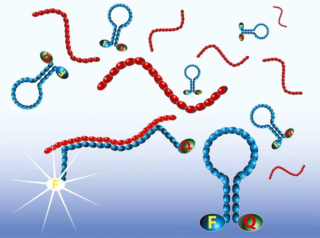 Nasba Global Diagnostic Labs